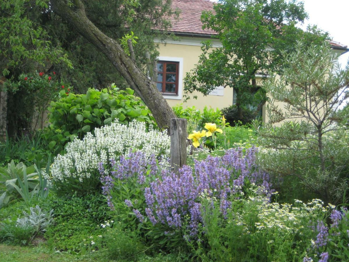 Bed and Breakfast Mala Kmetija Словенське Коніце Екстер'єр фото